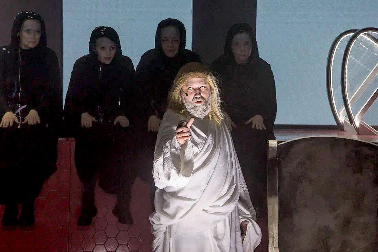 Лягушки